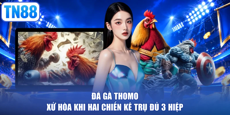 Đá gà Thomo xử hòa khi hai chiến kê trụ đủ 3 hiệp